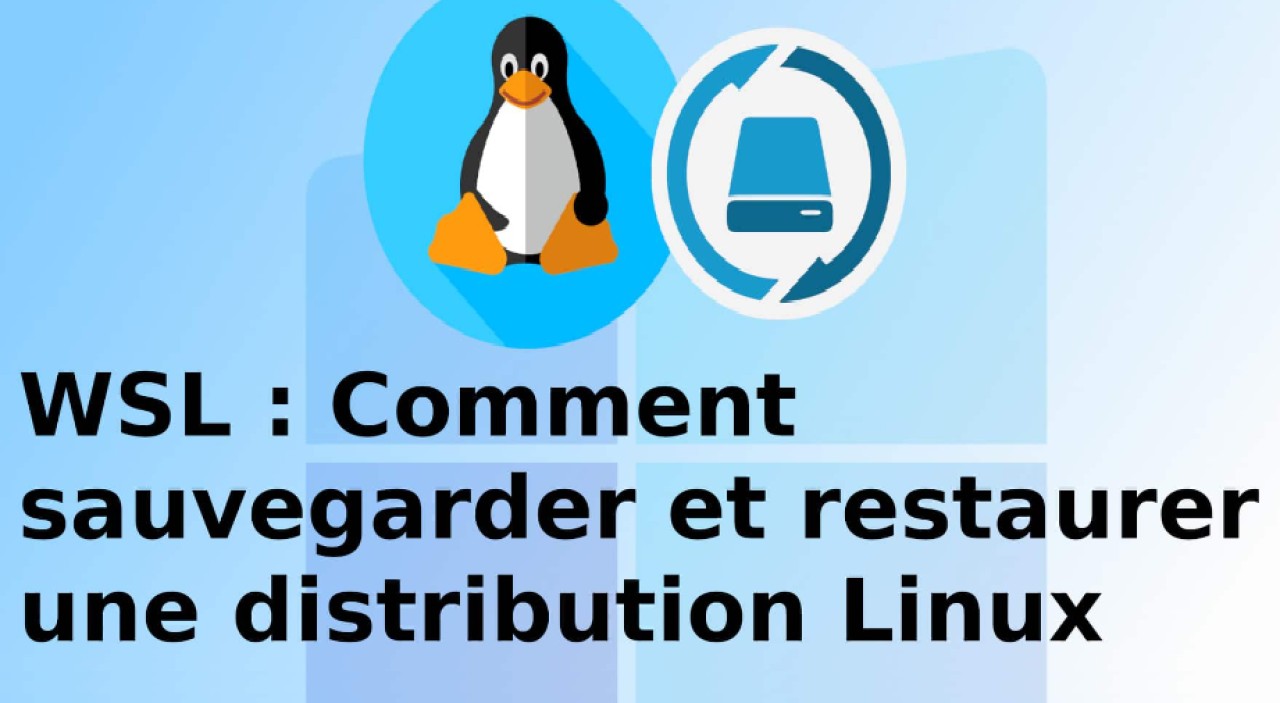image de l'article
