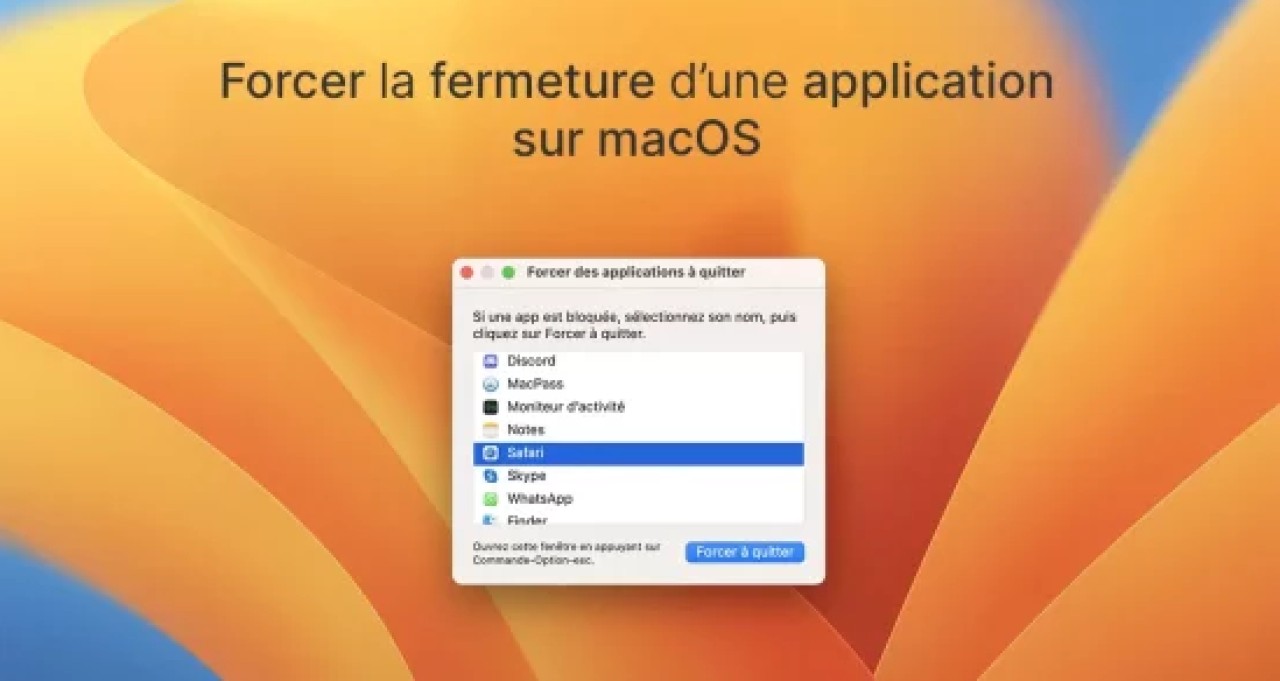 image de l'article